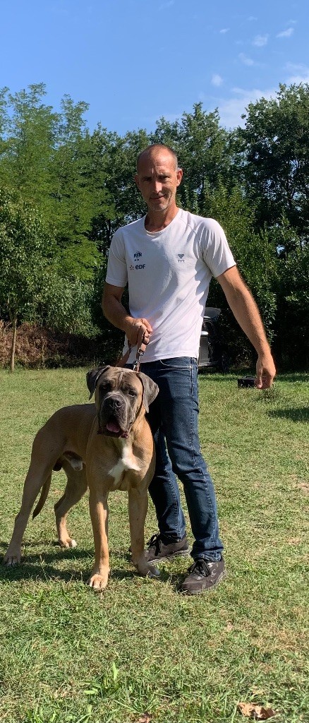 CH. Voltaire Des Gardiens Des Sept Collines